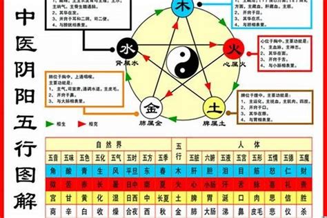 84年属|1984年1月出生属什么生肖